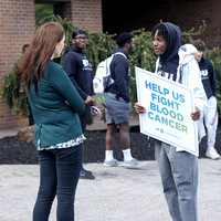 Bone Marrow Drive-03