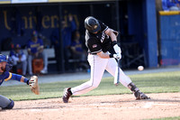 baseballwid-14